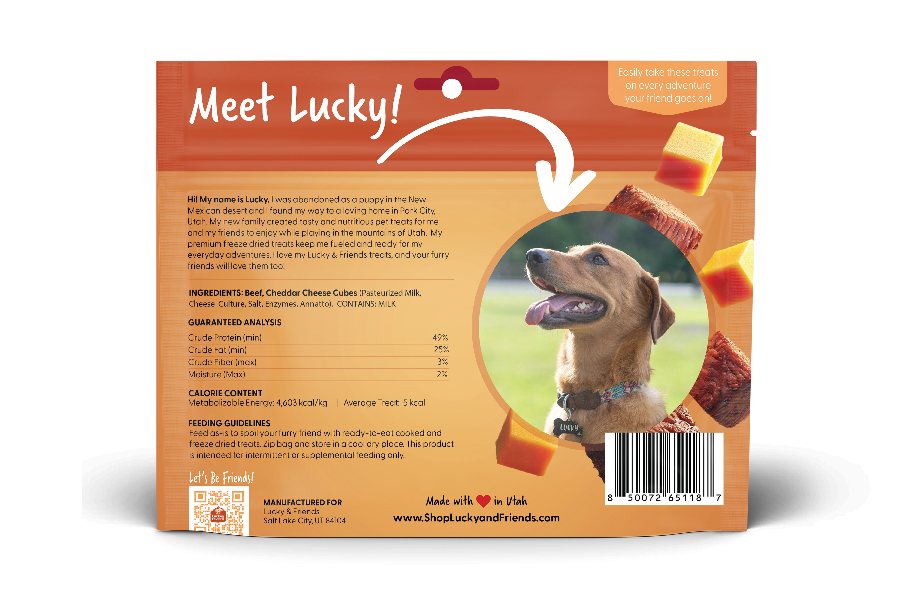 Steak &amp; Cheddar Cheese Bites Dog Treats