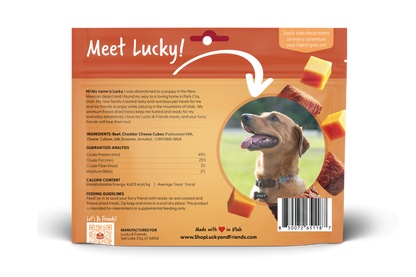 Steak &amp; Cheddar Cheese Bites Dog Treats