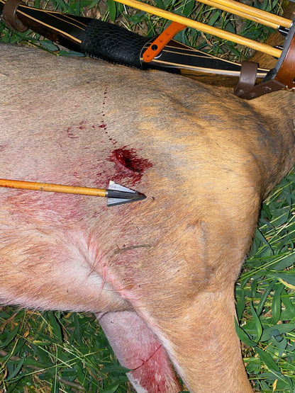 VPA Omega Broadhead