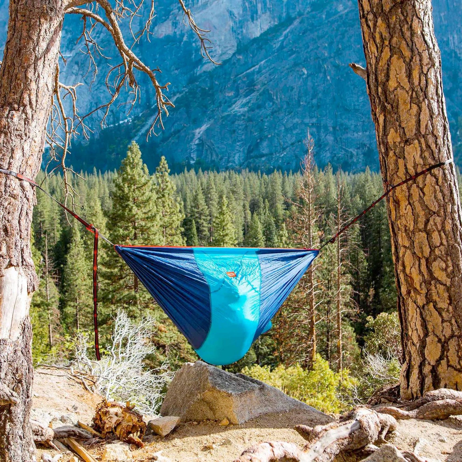 ROVR™ Hanging Chair