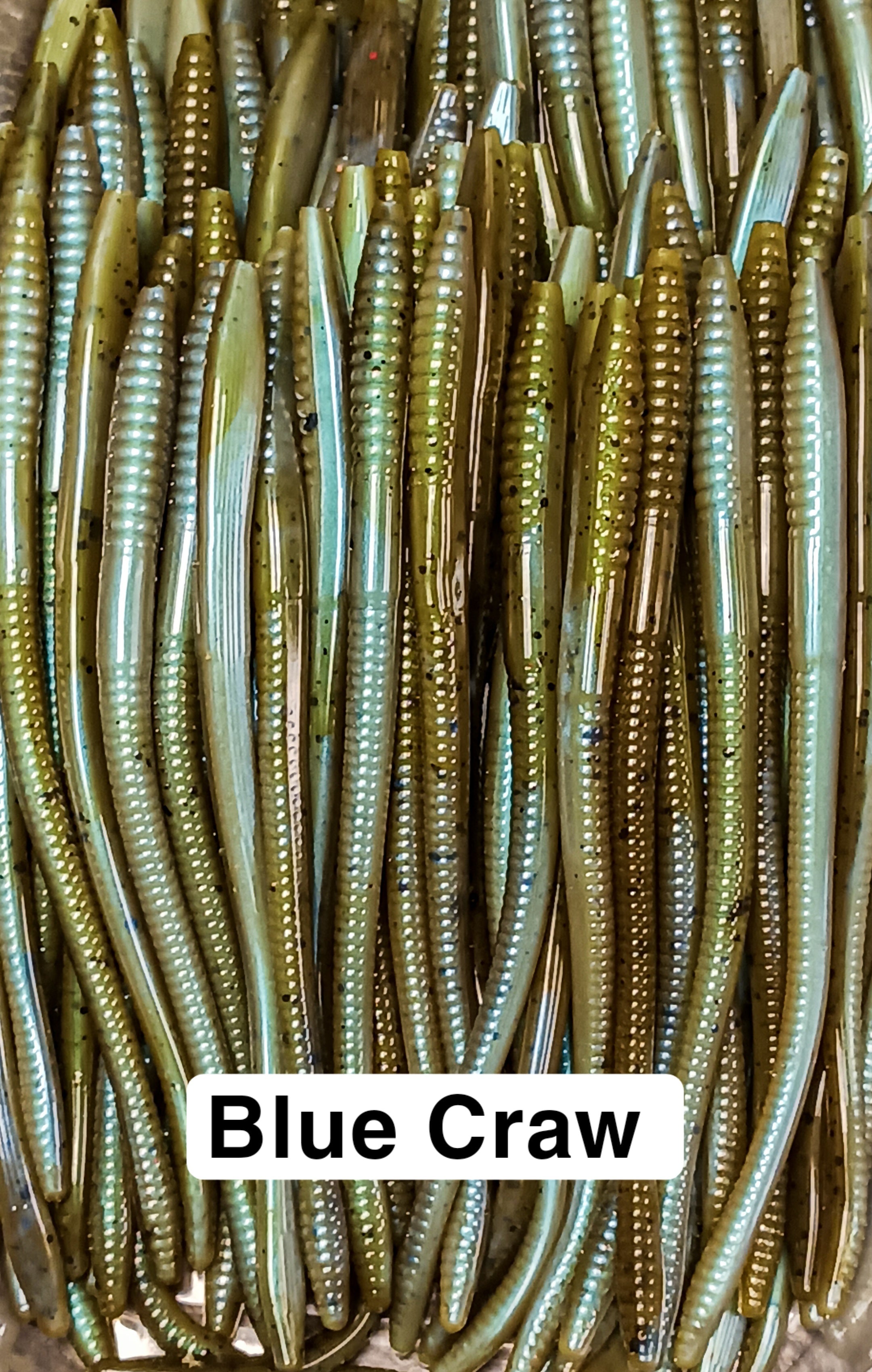 6" Worm