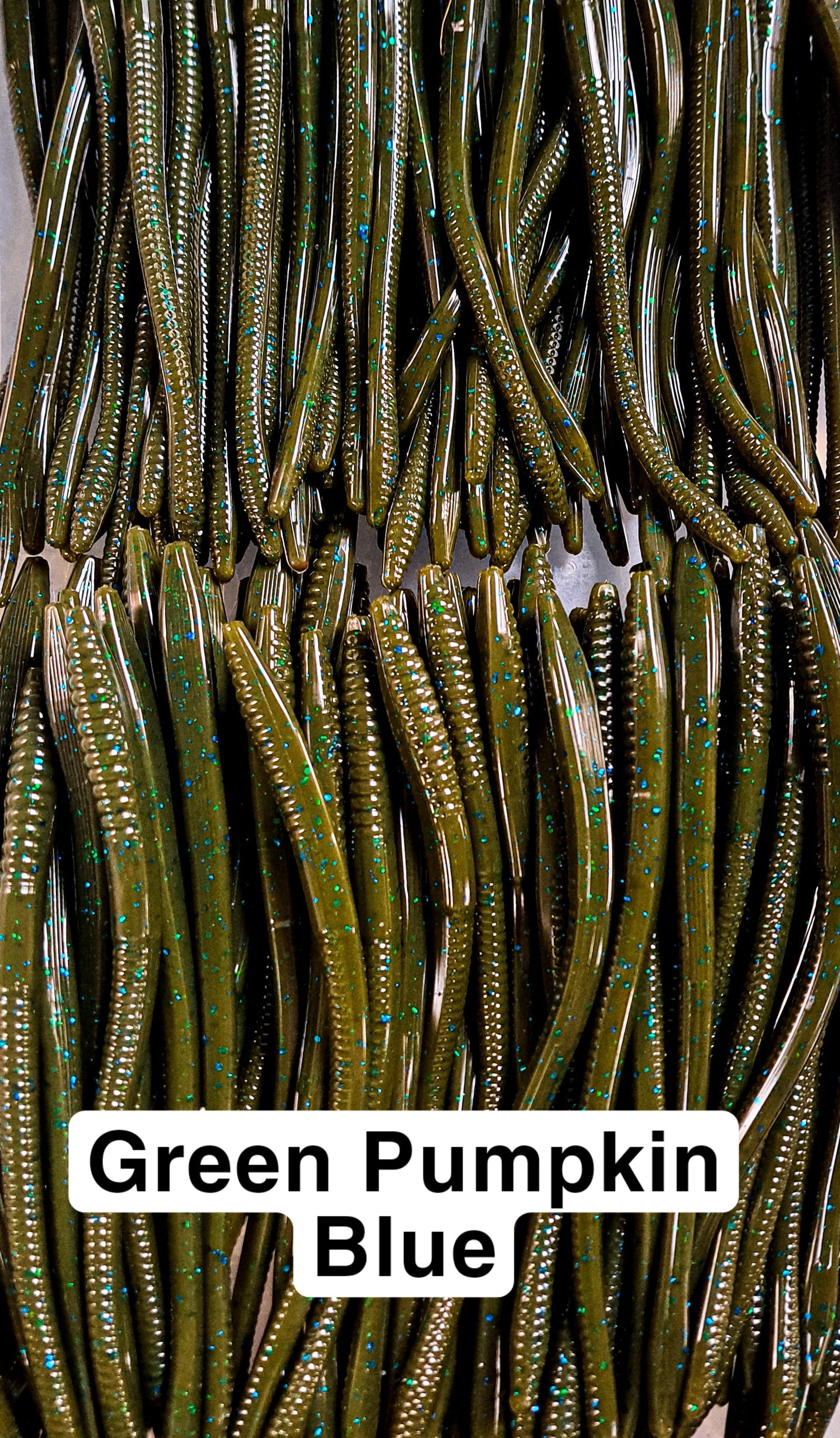 6" Worm