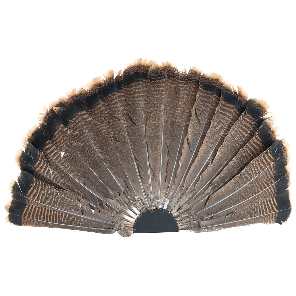 Turkey Fan Display Jig