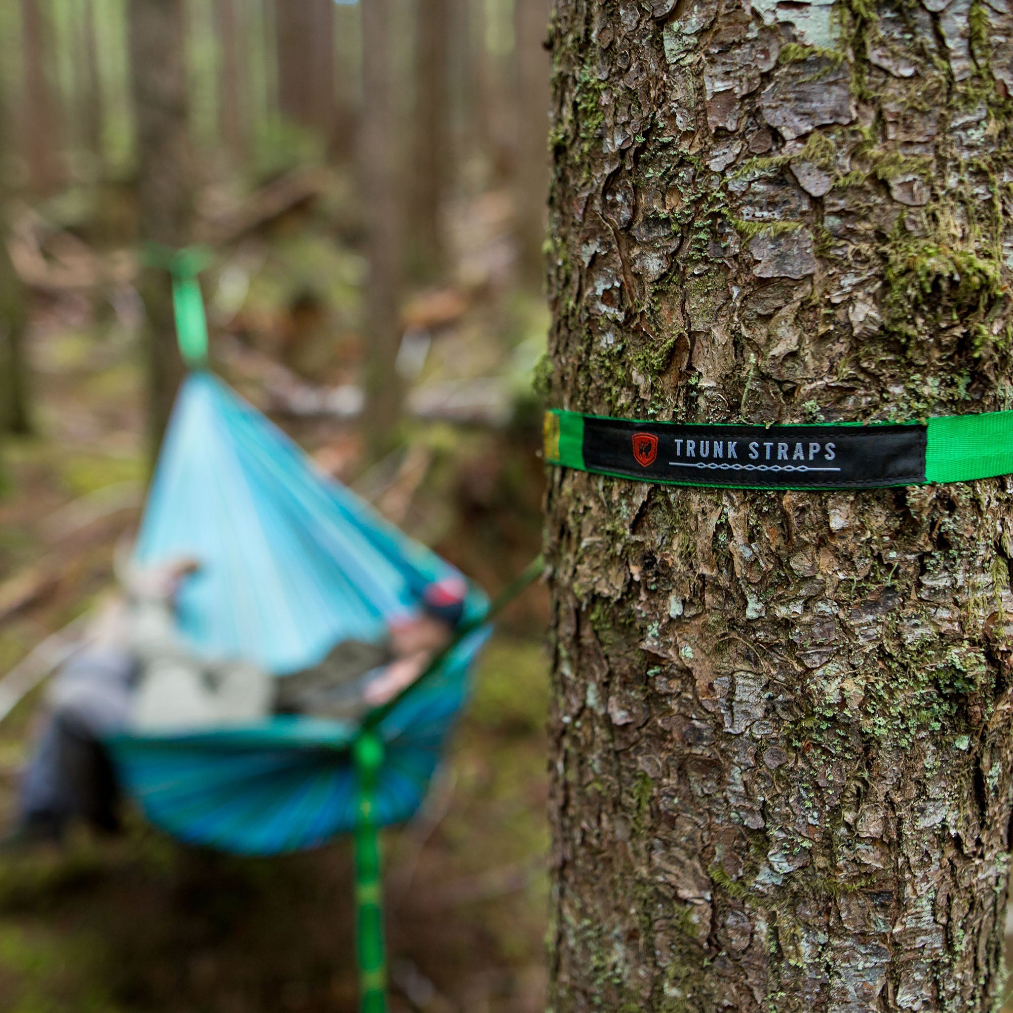 Trunk Straps - Hammock Suspension Straps