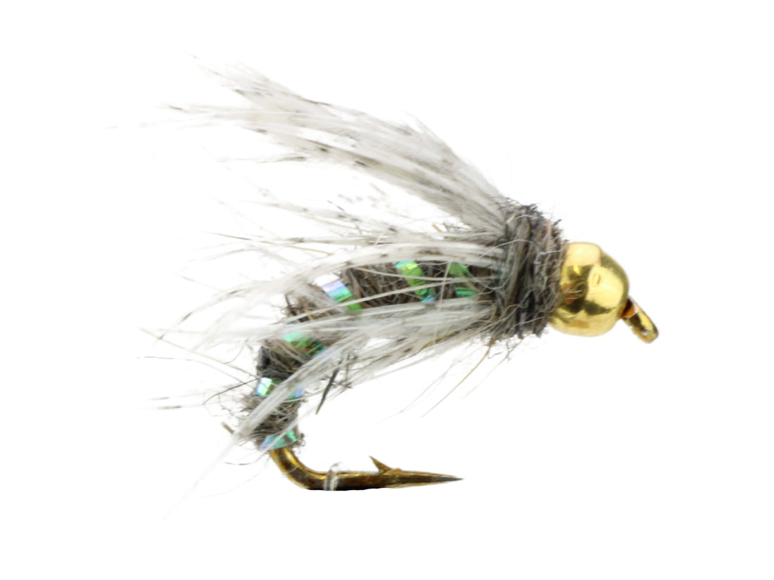 Gold Ribbed Hare&