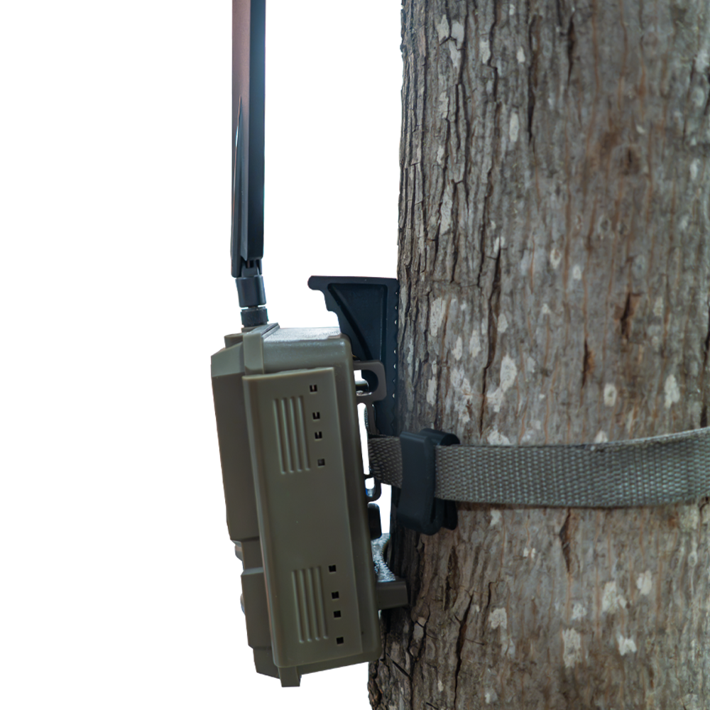 Trail Camera Wedge