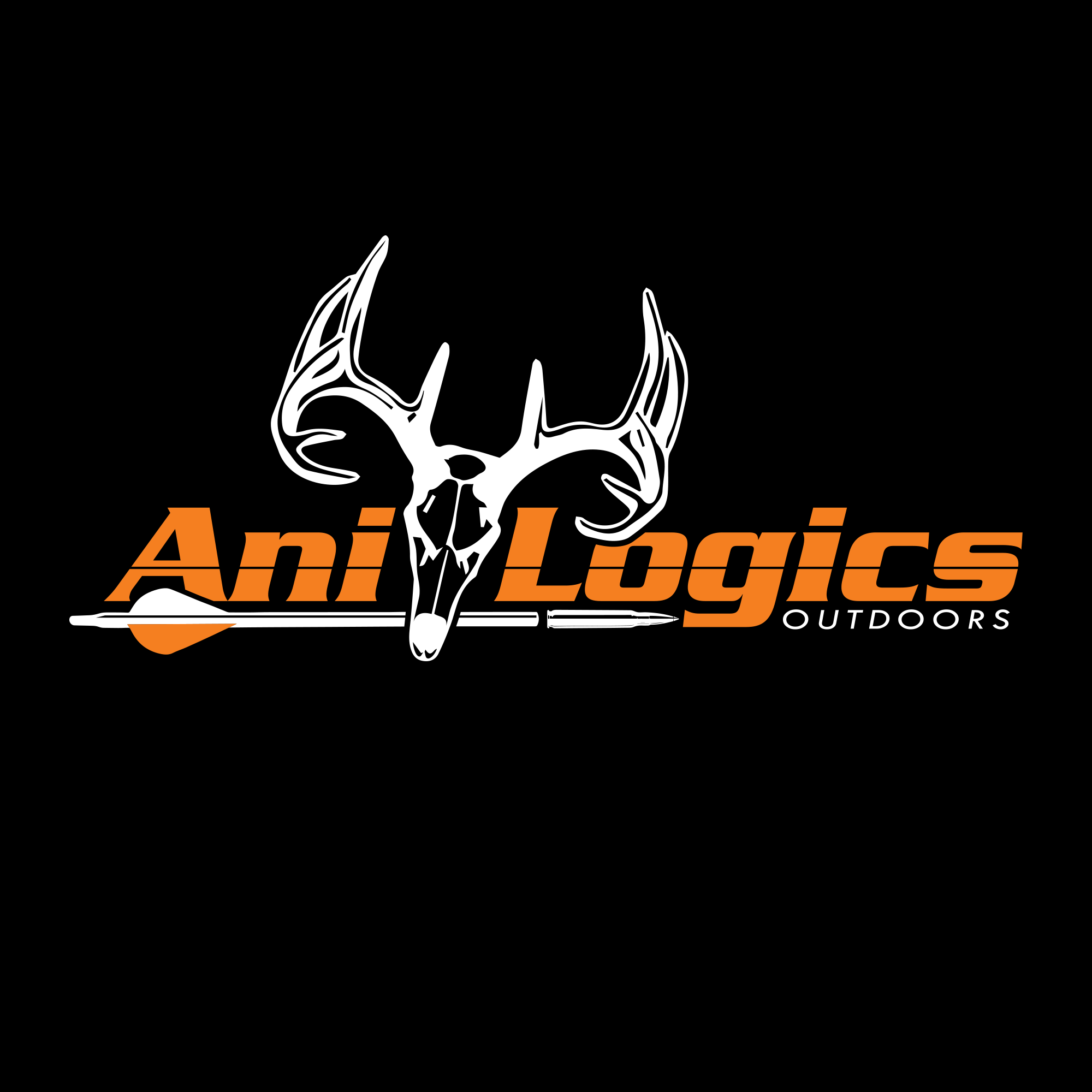 Ani-Logics