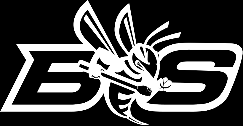 Bee Stinger