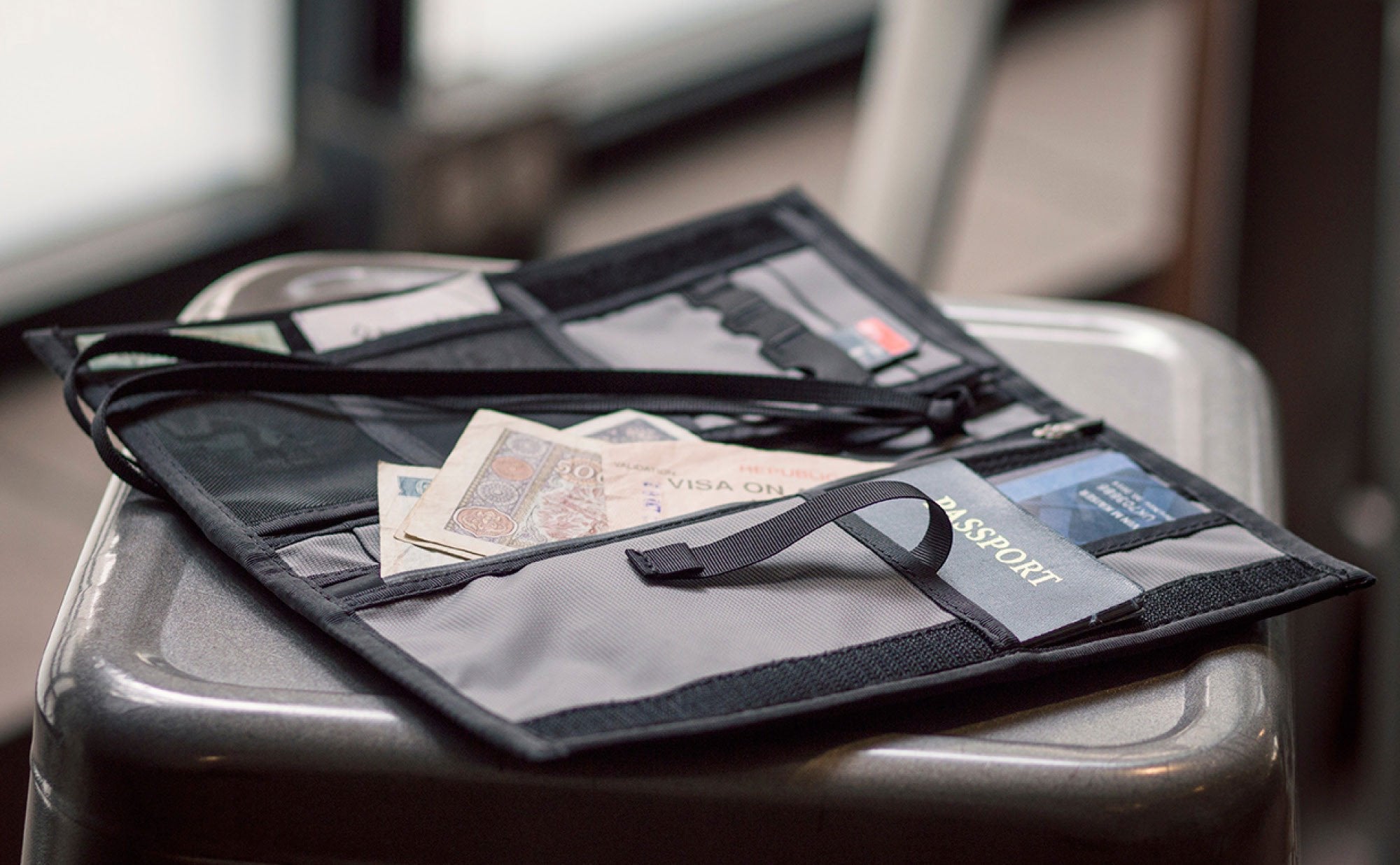 Passport Holder &amp; Organizer