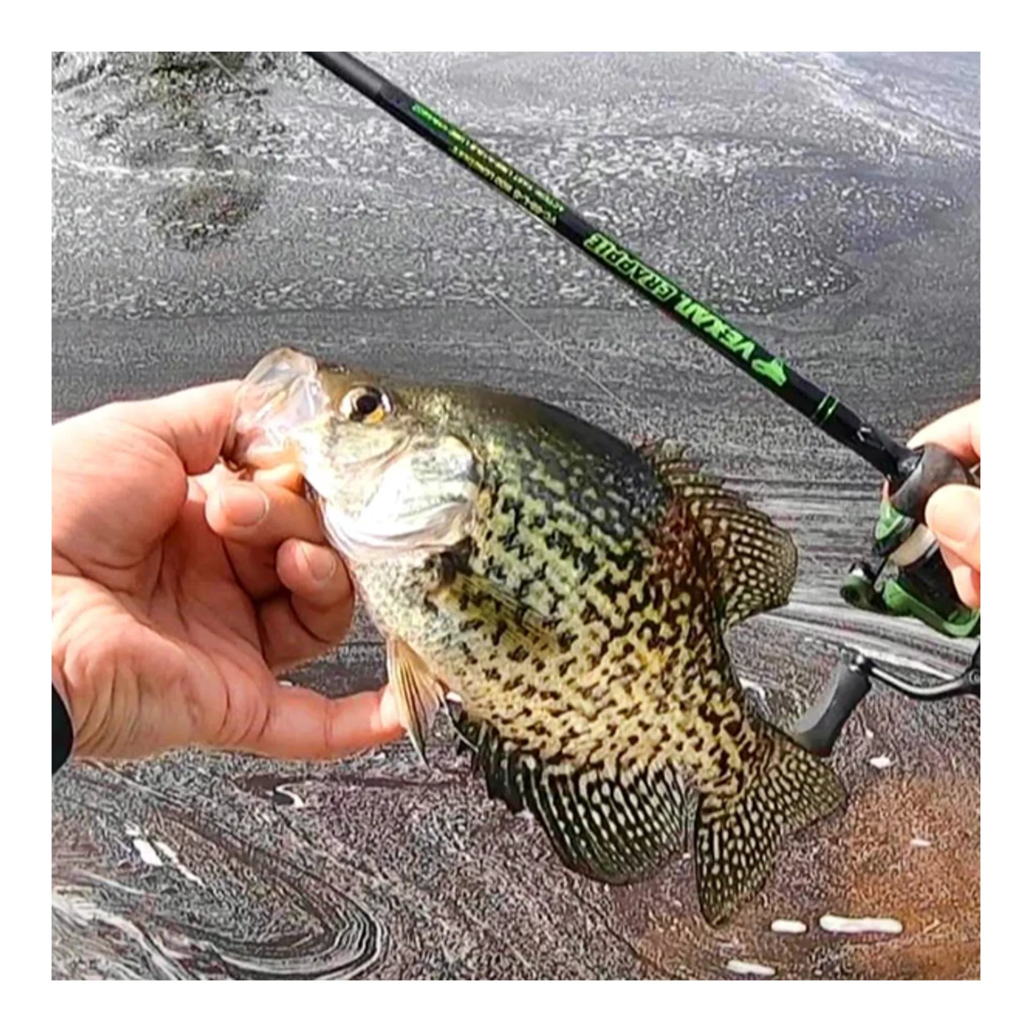 VEXAN® Crappie Rods &amp; Panfish Rods