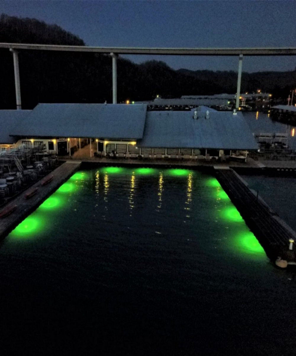 DM260G DockMaster Above Water Dock Light-Green