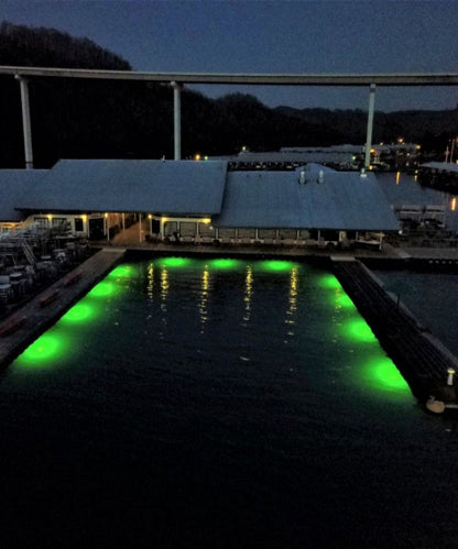DM260G DockMaster Above Water Dock Light-Green
