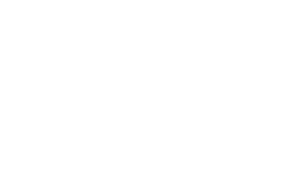 DSG OUTERWEAR