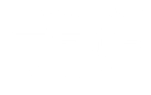 DSG Outerwear Women's Outdoor Apparel logo