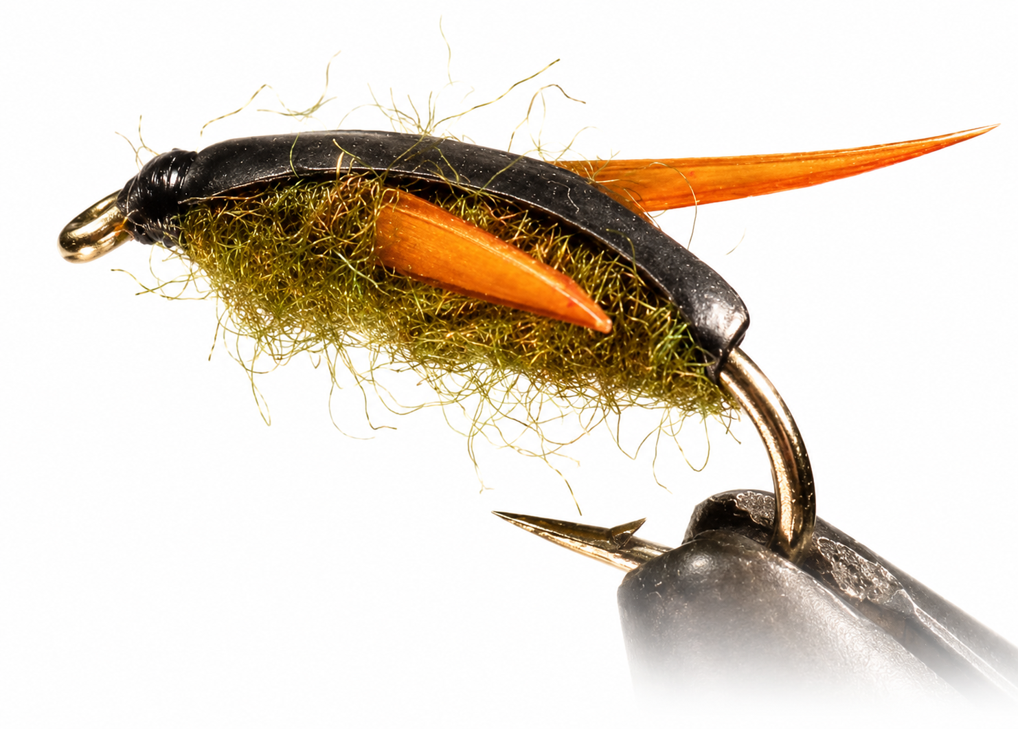 Water Boatman