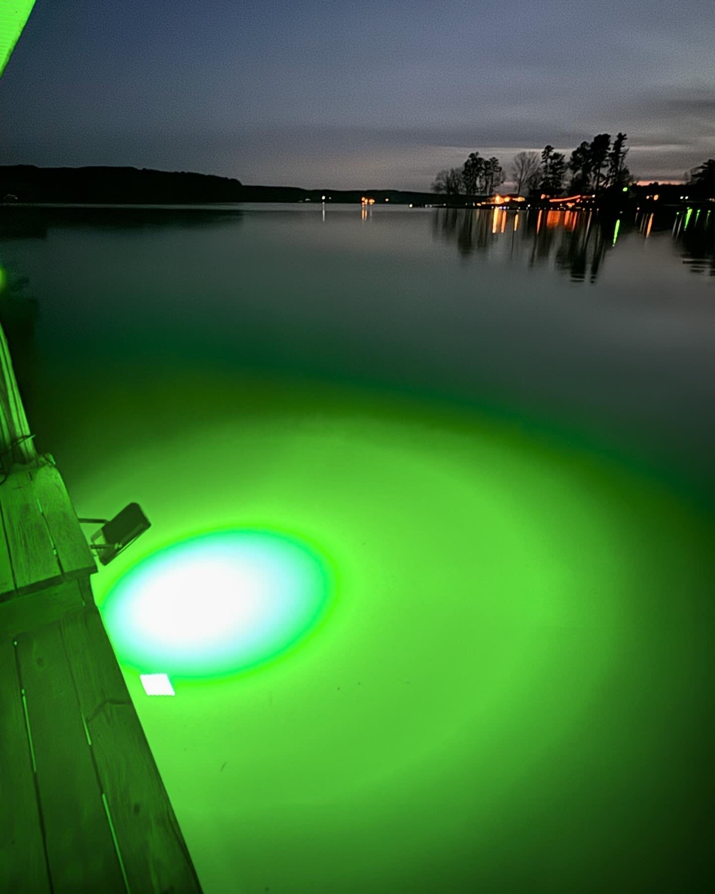 FL50G Above-Water LED Floodlight-Green