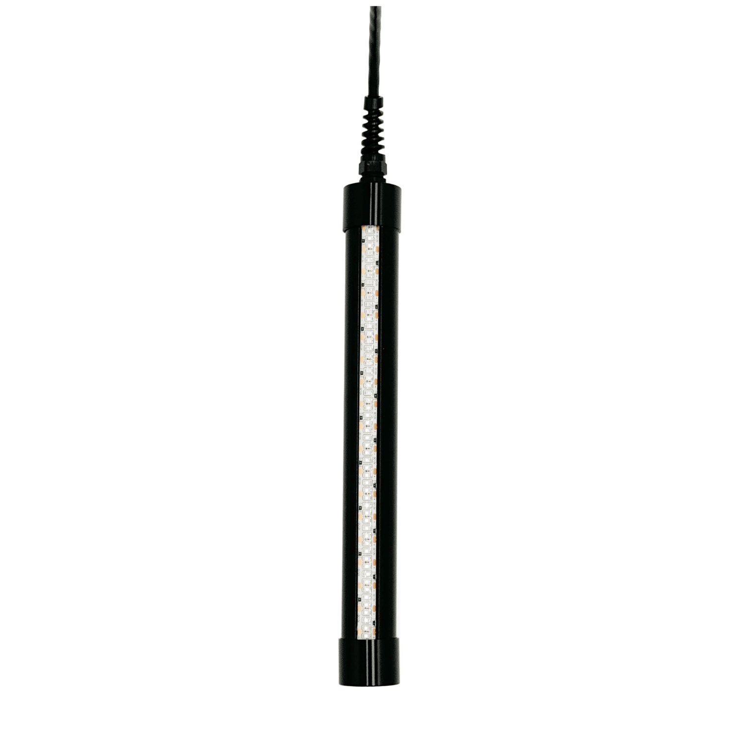 HG250G Underwater Fishing Light