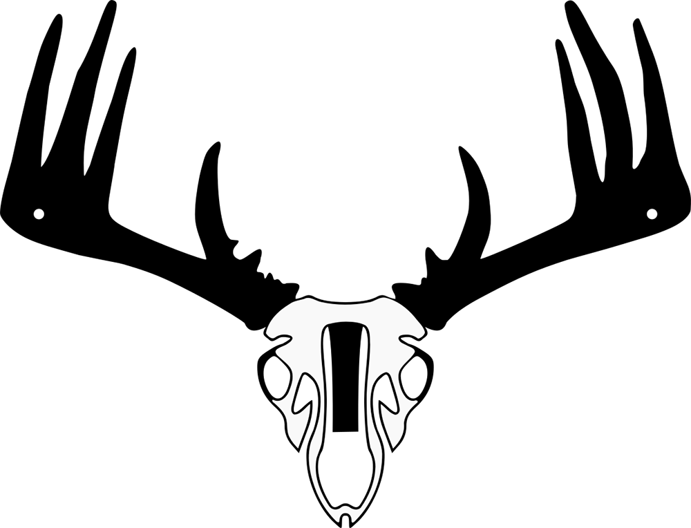 Single Whitetail