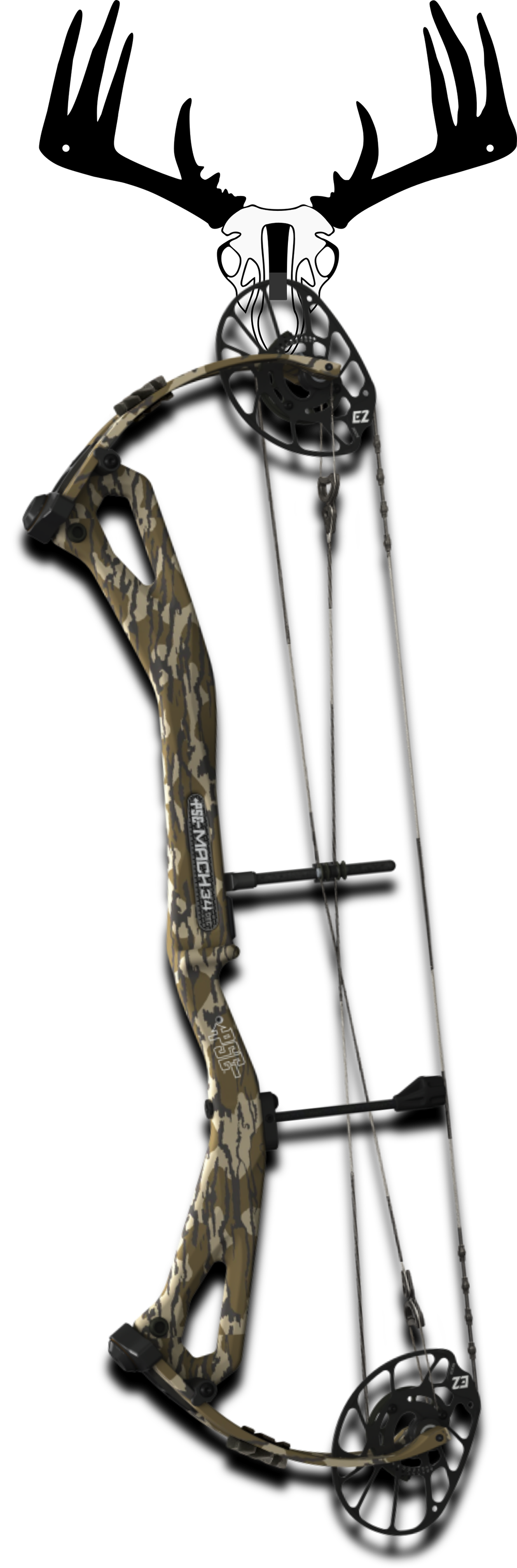 Single Whitetail