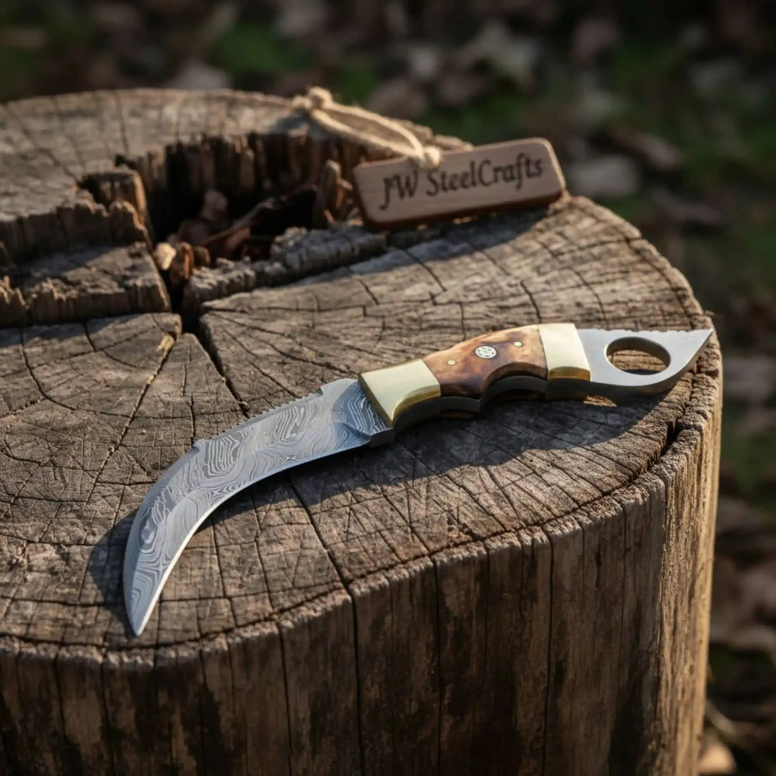 Damascus Steel Knife with Burned Bone Handle &amp; Brass Bolster